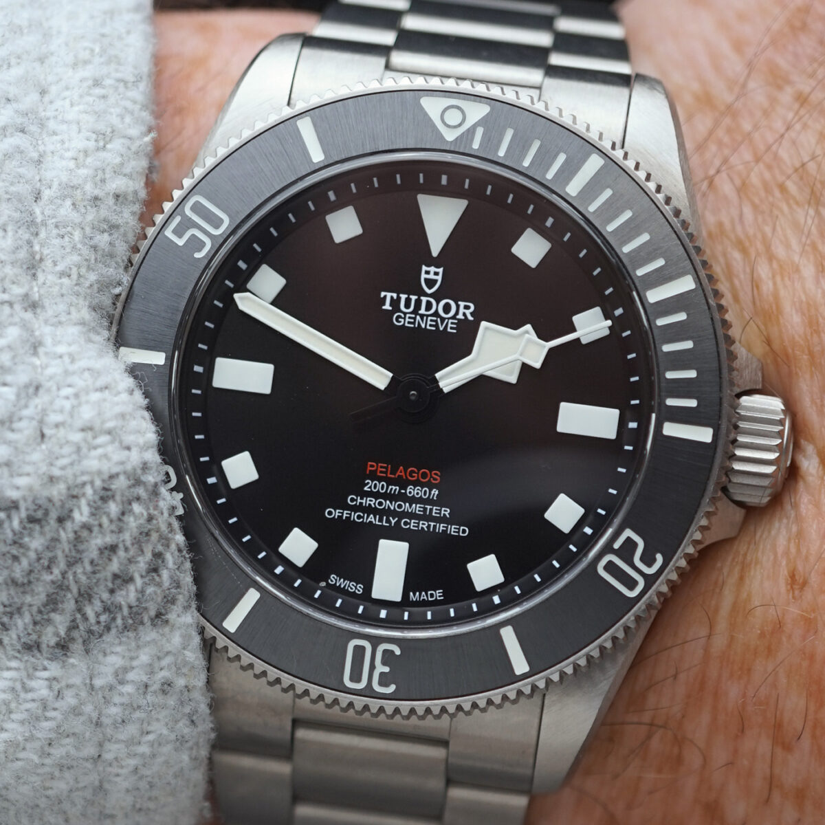Tudor Pelagos - Image 4